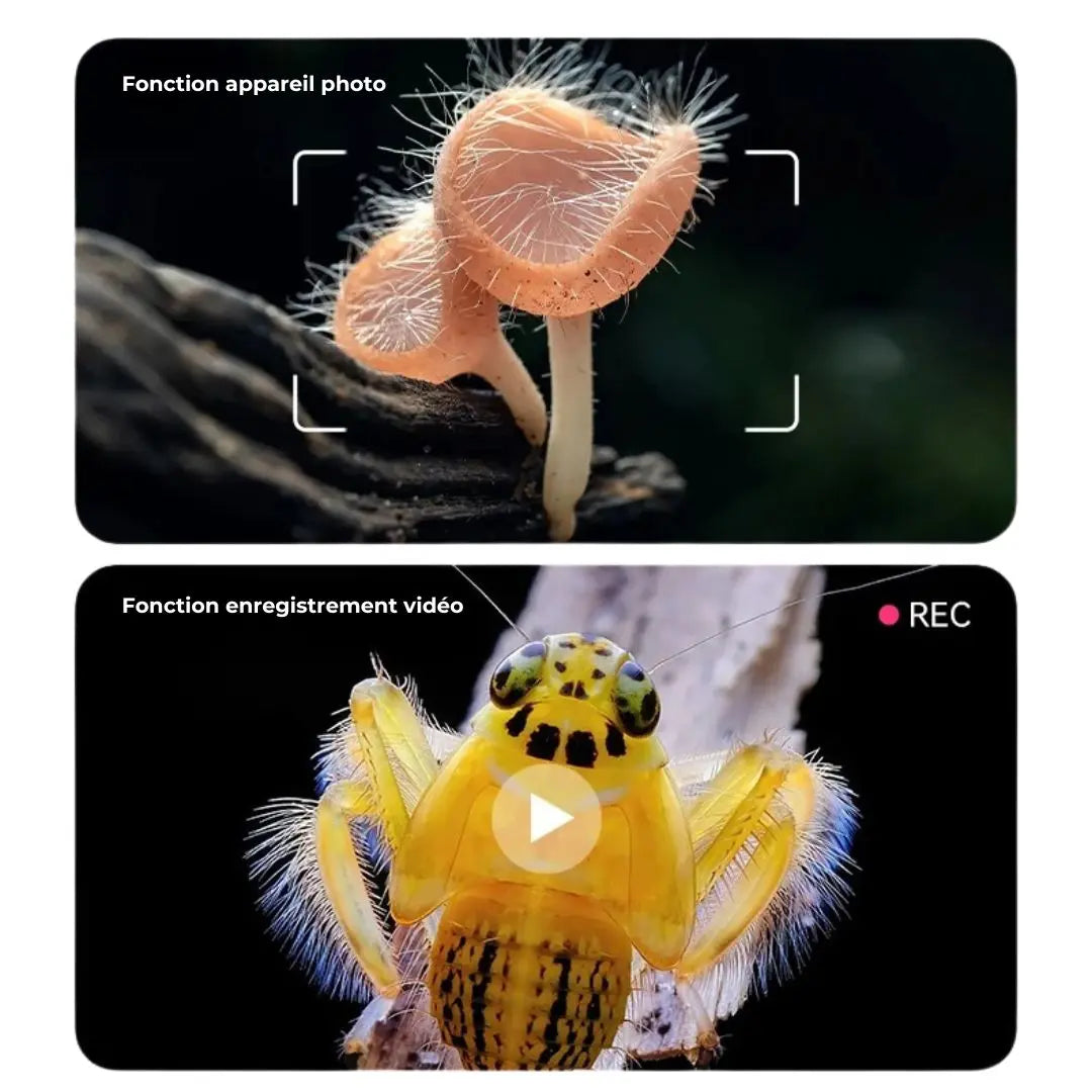 Microscopio de Bolsillo - LoupiFun™