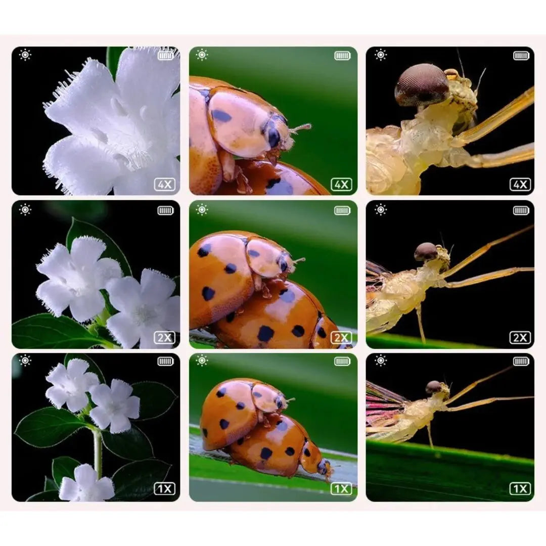 Microscopio de Bolsillo - LoupiFun™